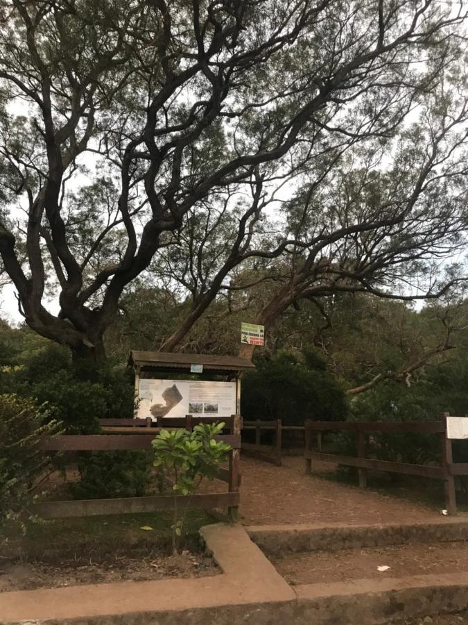 Ti Kaz Martin De O La Reunion Villa La Plaine des Cafres Dış mekan fotoğraf