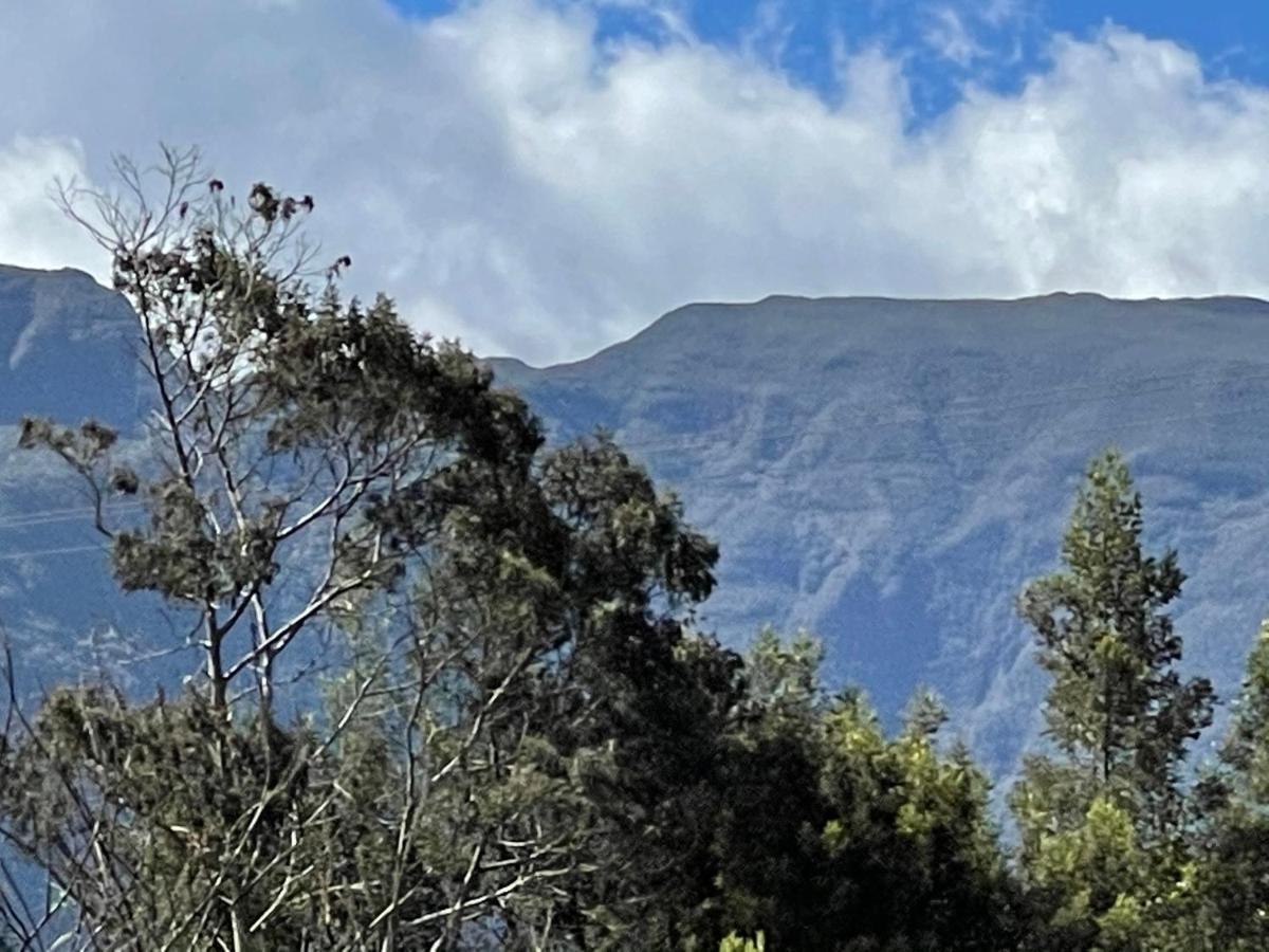 Ti Kaz Martin De O La Reunion Villa La Plaine des Cafres Dış mekan fotoğraf