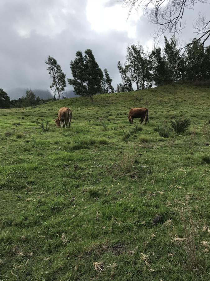 Ti Kaz Martin De O La Reunion Villa La Plaine des Cafres Dış mekan fotoğraf